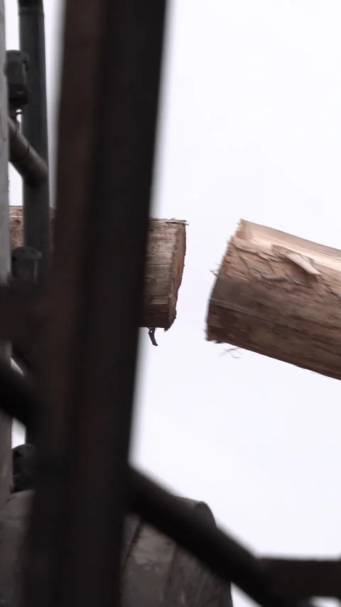 Industrial Wood Processing Machine Cutting Timber Log Close Up Stockbeeldmateriaal 333406713