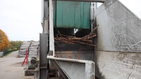 Industrial Wood Processing Machine with Stacked Logs and Autumn Trees Stock Footage 298075495
