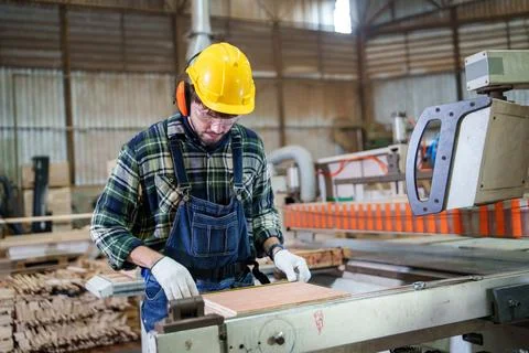 Industrial Worker Processing Wooden Boards in a Factory Stock Photos