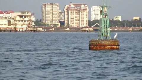 Industry by the beach Video stock 154328304