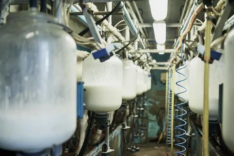 Industry, dairy and milk production factory with equipment on an industrial farm Stock Photos