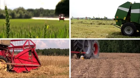 Industry Vidéo 79605074