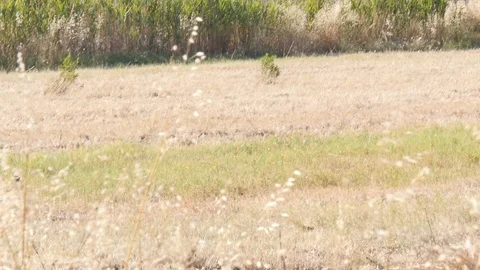 Industry Stock Footage 95763895