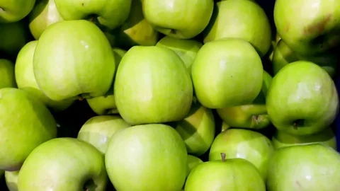 Industry of Fruit Growing and a Selection of Green Apples Stock-Footage 72850771