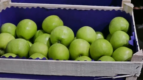 Industry of Fruit Growing and a Selection of Green Apples Stock-Footage 72850809