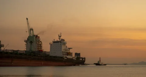 Industry landscape on sunset Engineering shipping crane depot at logistic Stock-Footage 251944085
