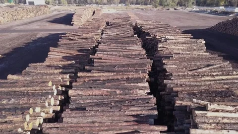 Industry pattern: Logs stacked in neat piles in pulp mill log yard Vídeos de archivo 319017385