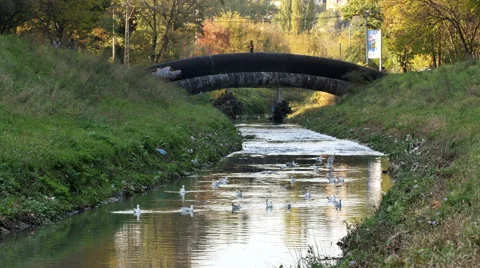Industry polluting river 库存影片 57171157