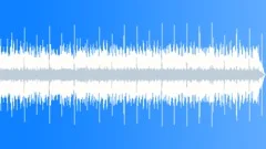 Indy Pop - Flatbed No 01 - Funky Roots Rock 400 A 100 bpm Stock Music