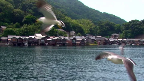 Ine Bay Stock-Footage 332396827