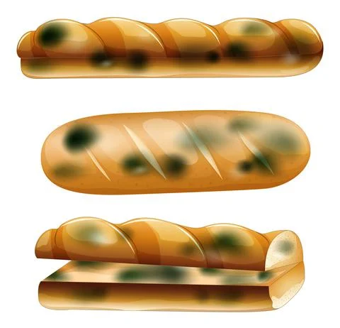 Inedible bread with mould Stock Illustration