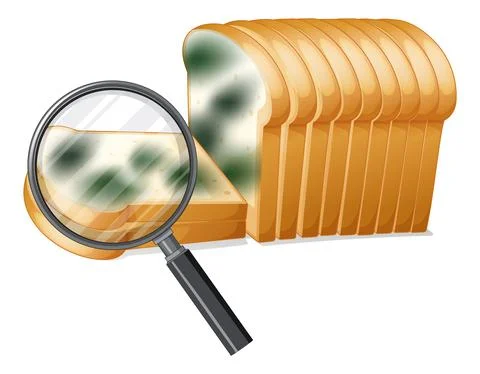 Inedible bread with mould Stock Illustration