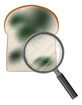 Inedible bread with mould Stock Illustration