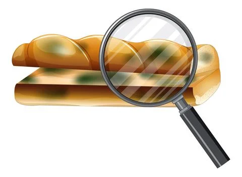 Inedible bread with mould Stock Illustration