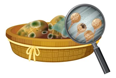 Inedible bread with mould Stock Illustration
