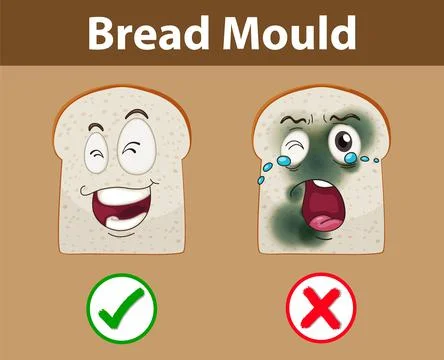 Inedible bread with mould Stock Illustration