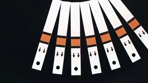 Inevitable cycle Stock Footage 8549885