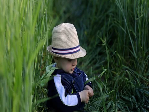 An infant boy in a big hat have a fun in a green wheat. Stock Footage 78482980