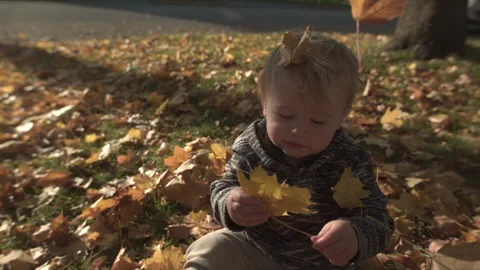 Infant boy playing in a leaf pile in the yard Stock Footage 141890508