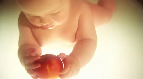 Infant chewing on an apple. Stock Footage 44561630