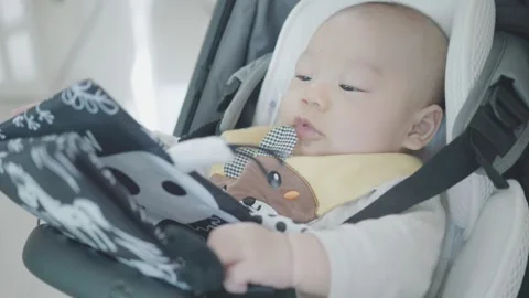 Infant Engaged with Toy in Stroller Stock Footage 316074550
