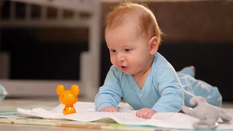Infant Examining Objects. Baby Explores Plush Toy Surroundings. Young Child Stock Footage 330262822