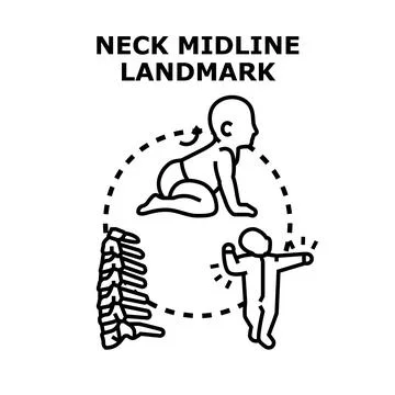 Infant neck midline landmark development vector concept Stock Illustration