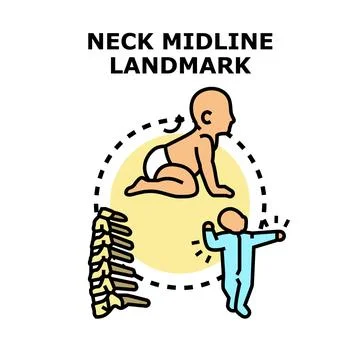 Infant neck midline landmark development vector concept Stock Illustration
