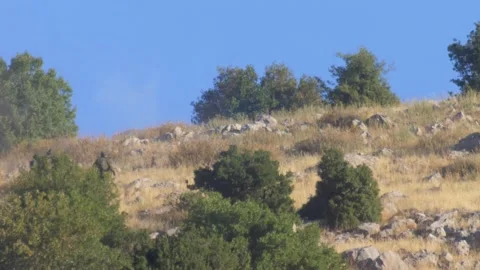 Infantry soldiers in drill on mountain Stock Footage 137555372