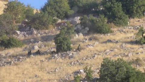 Infantry soldiers practicing with live rounds Stock Footage 137555053