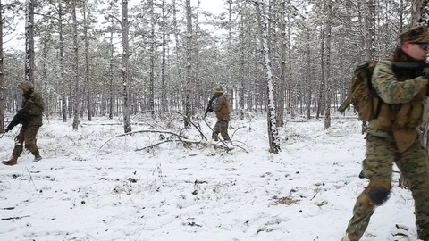 Infantrymen with weapons in their hands - in the forest. Camouflage Stock Footage 127629088