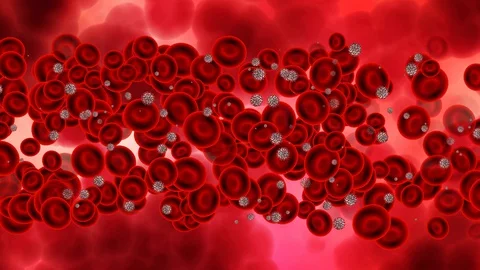 Infected Bbood cells flows in vein Stock Footage 129590005