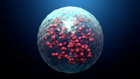 Infected cell by a virus, viral replication Stock Footage 128080867