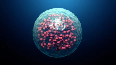 Infected cell by a virus, viral replication Stock Illustration