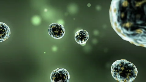 Infected Cells Multiplying Stock Footage