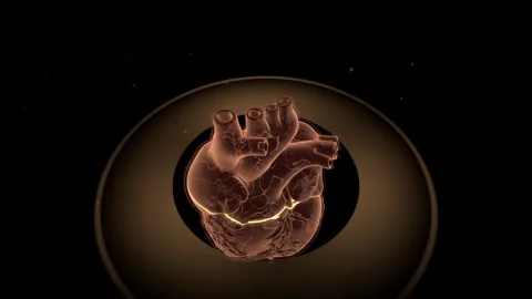 Infected Human Heart Microscope, 4K ProRes Stock-Footage 336363228