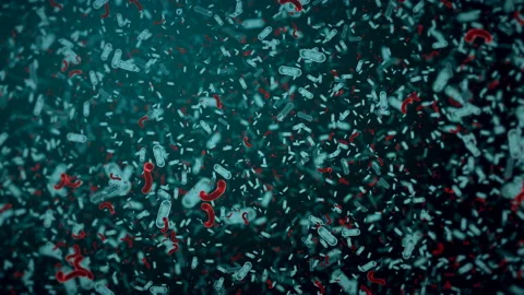Infection Bacteria Floating Stock Footage 102365061
