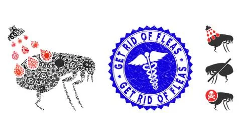 Infection Collage Get Rid of Fleas Icon with Medic Grunge Get Rid of Fleas Seal Stock Illustration