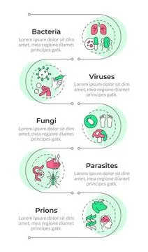 Infectious agent categories infographic vertical sequence Stock Illustration