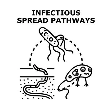 Infectious spread pathways vector illustration concept design Stock Illustration