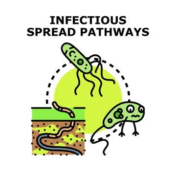 Infectious spread pathways vector illustration concept design Stock Illustration
