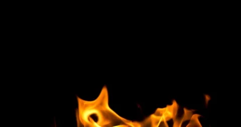 Infernal flame on a black background Stock Footage 89654459