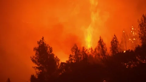 Inferno 7 Stock Footage 296364174