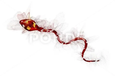 Infertility concept, destruction of spermatozoon Stock Illustration