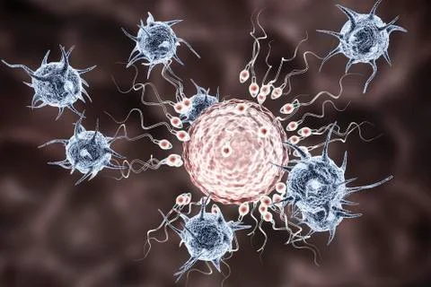 Infertility concept, microbes attacking egg cell surrounded by spermatozoons  Stock Illustration
