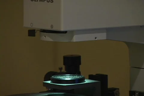 Infertility Treatment 03 microscope Video stock 455246