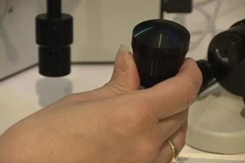 Infertility Treatment 05 microscope Video stock 455183