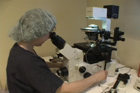 Infertility Treatment 07 microscope Video stock 455172