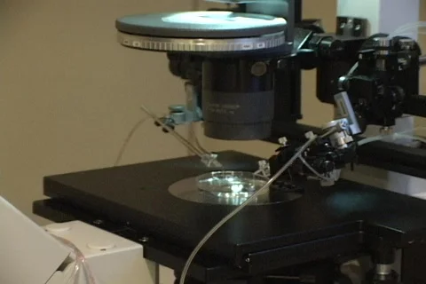Infertility Treatment 09 microscope Video stock 455176