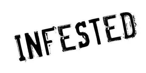 Infested rubber stamp 스톡 일러스트